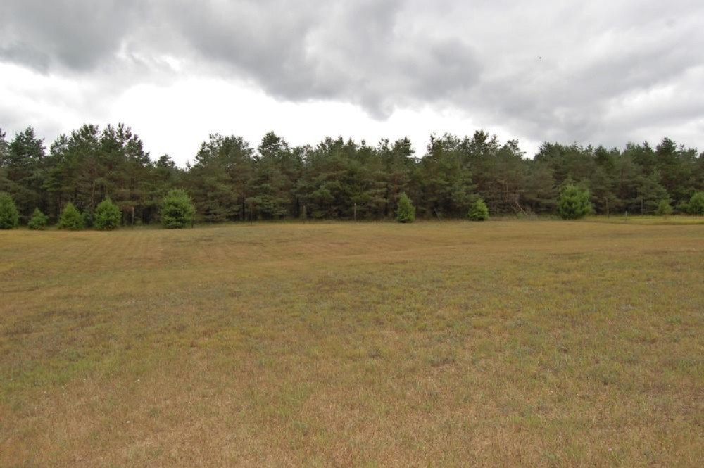 900 20 Mile Road Barryton, MI 49305 - Photo 19 of 21 19 Backyard
