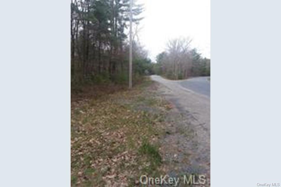 Forestburgh Road Glen Spey, NY 12737 - Photo 1 of 7 a view of a yard with trees