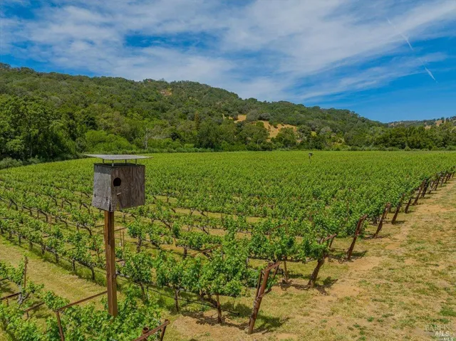 a view of a lake with a yard