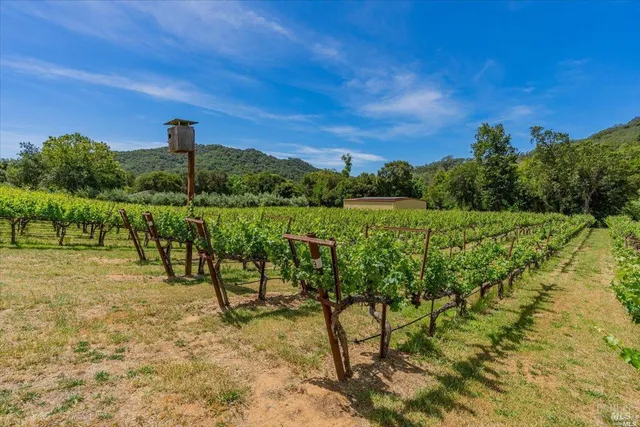 a view of a city with lush green forest