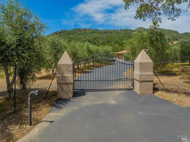 a view of a backyard