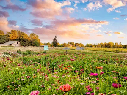 $4,200,000 | 2685 North Haven Drive, Eagle, ID 83616