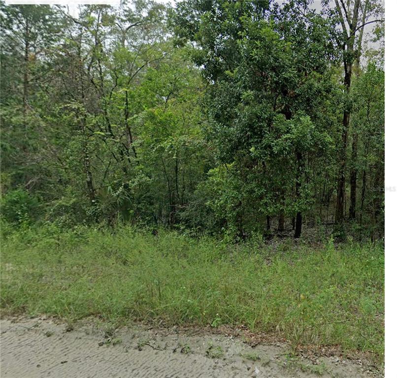 0 Northeast 160th Avenue Williston, FL 32696 - Photo 1 of 1 a view of a lush green forest
