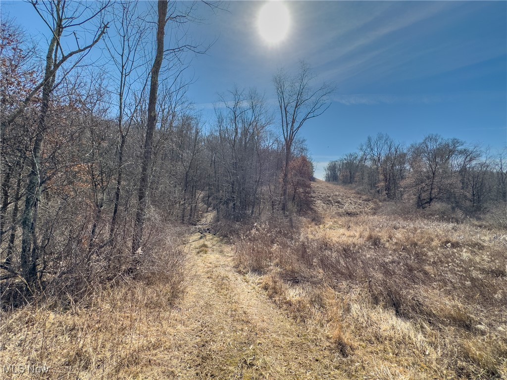 0 Bower Road Scio, OH 43988 - Photo 25 of 42 View of nature