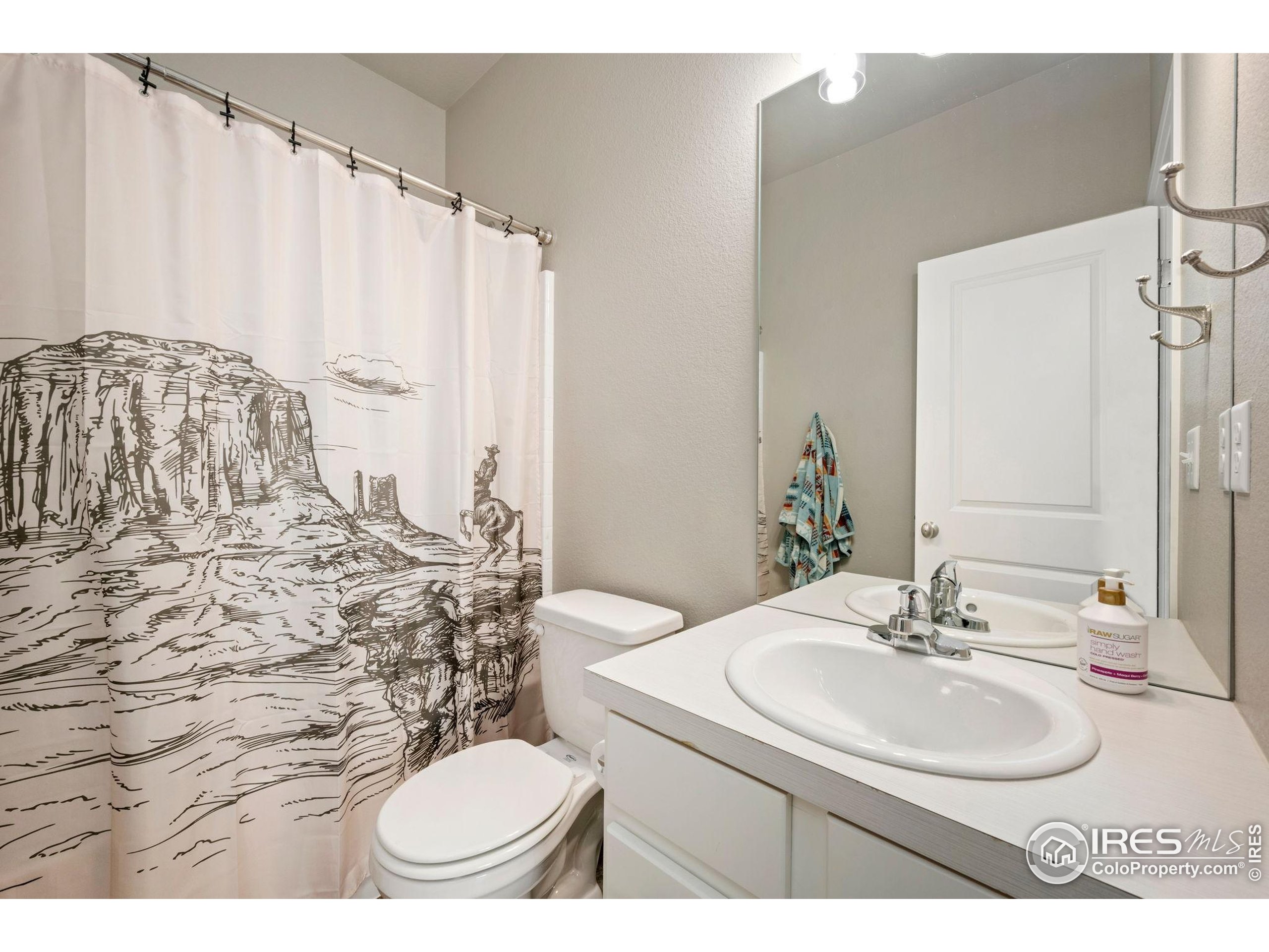 3812 Beech Tree Street Wellington, CO 80549 - Photo 14 of 17 a bathroom with a sink toilet and a mirror