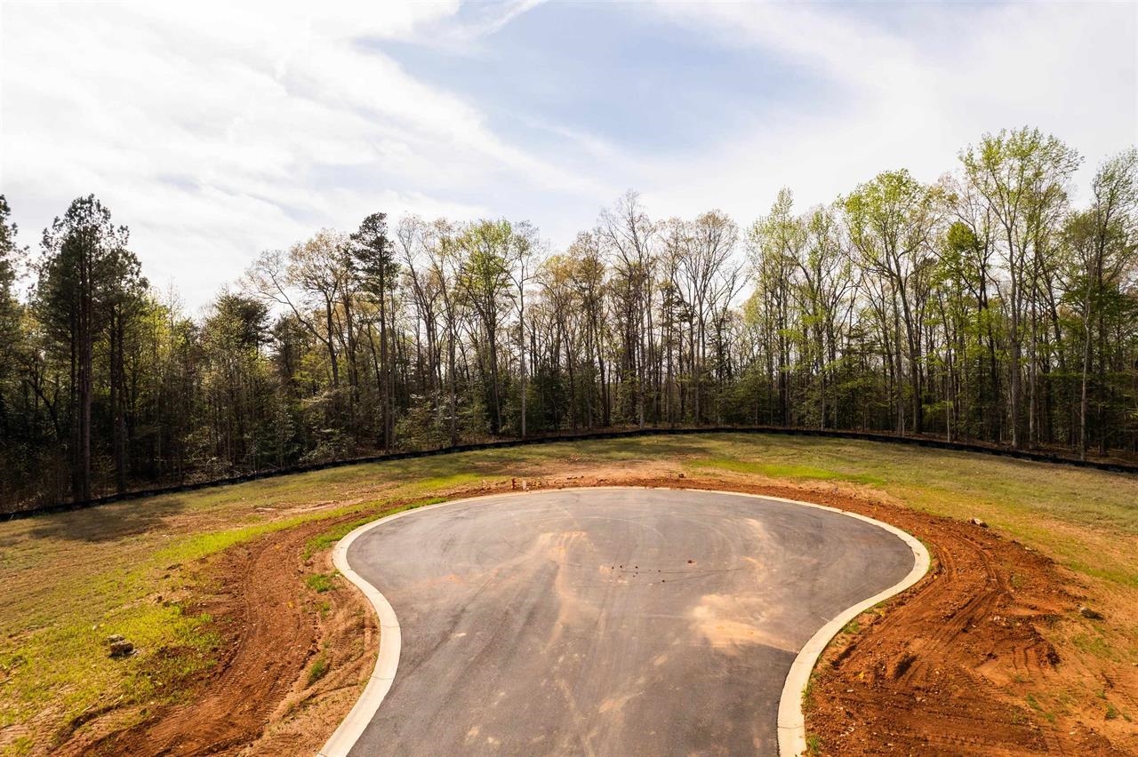 20 Danielsen Way Greer, SC 29651 - Photo 11 of 13