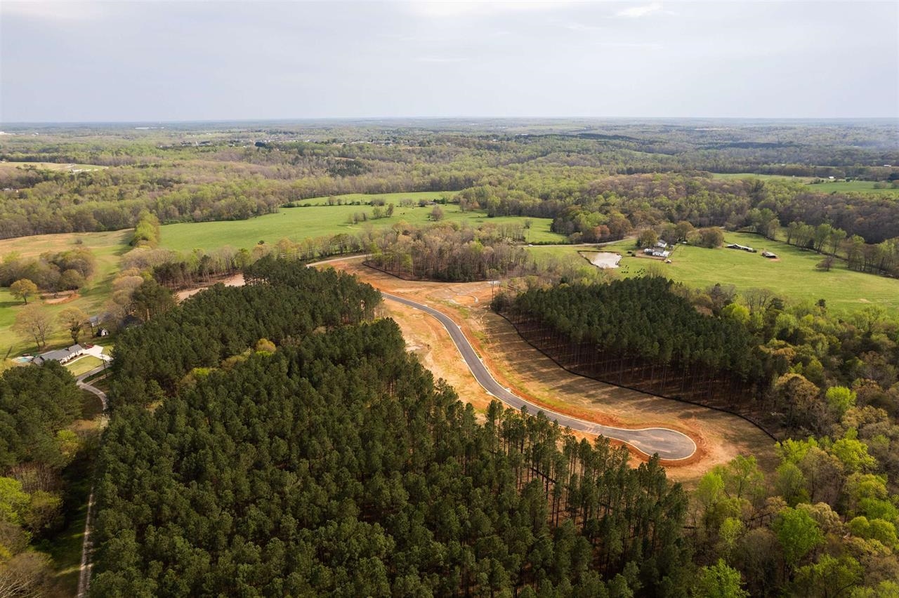 20 Danielsen Way Greer, SC 29651 - Photo 2 of 13