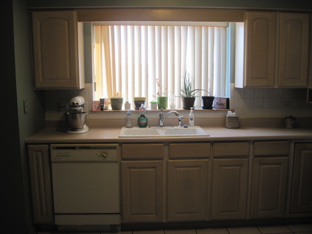 18136 Rita Road, Unit 2B Tinley Park, IL 60477 - Photo 14 of 19