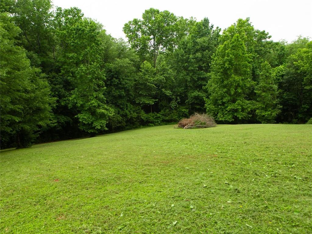 708 Sheep Pasture Road Commerce, GA 30529 - Photo 14 of 35 a view of a yard with a trees
