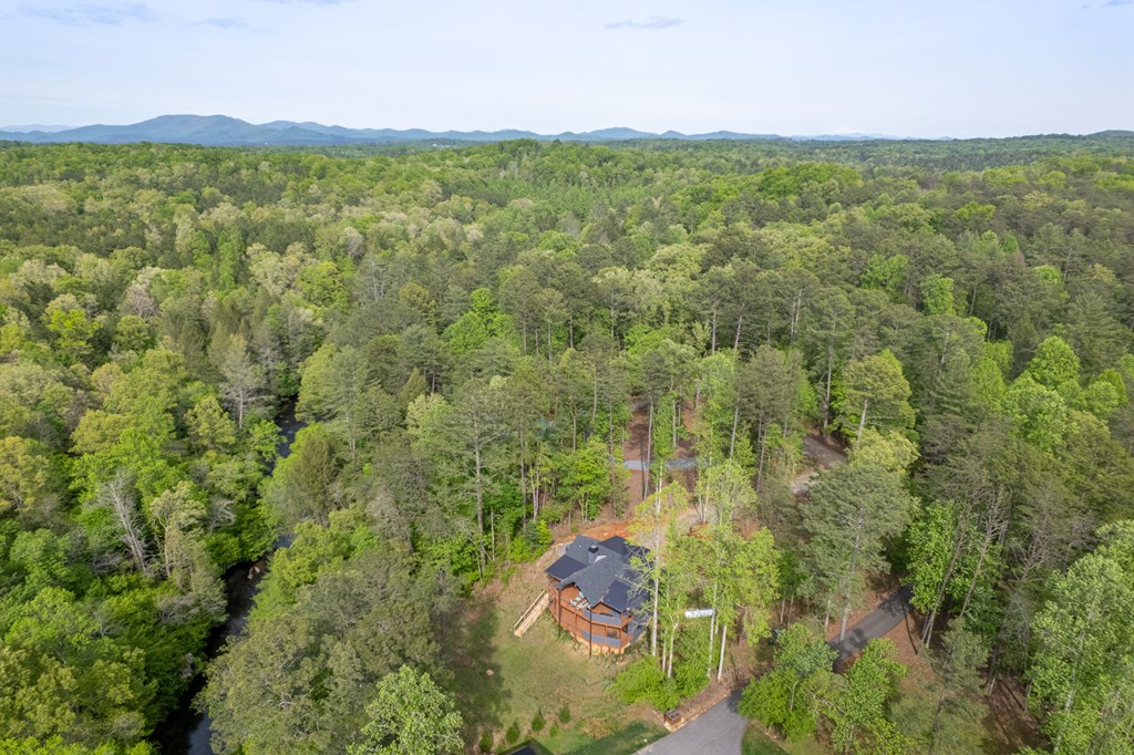 1220 Sunset Road Epworth, GA 30541 - Photo 43 of 46 a view of a lake with houses