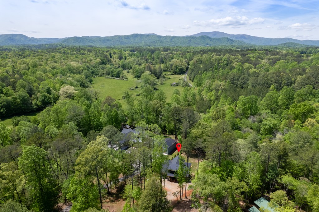 1220 Sunset Road Epworth, GA 30541 - Photo 45 of 46 a view of a lush green hillside and houses