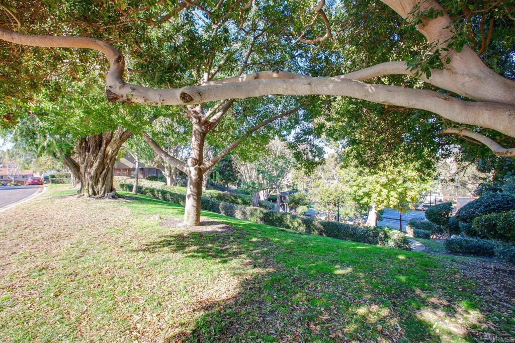 1521 Flair Encinitas Drive Encinitas, CA 92024 - Photo 30 of 45 a view of a yard with plants and trees