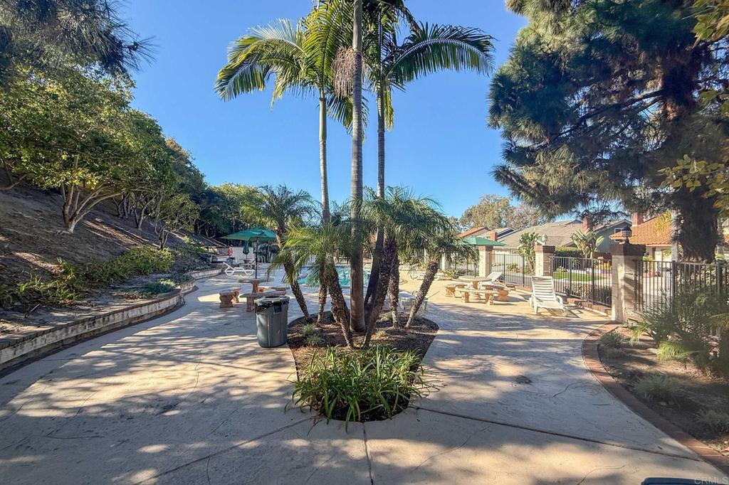 1521 Flair Encinitas Drive Encinitas, CA 92024 - Photo 35 of 45 a view of a palm tree next to a yard