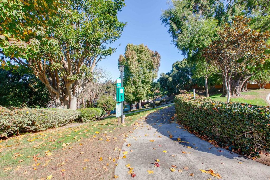 1521 Flair Encinitas Drive Encinitas, CA 92024 - Photo 43 of 45 a pathway of a yard