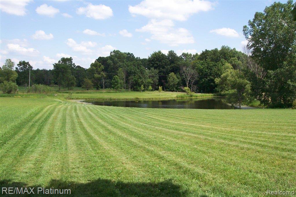 1201 Argentine Road Howell, MI 48843 - Photo 6 of 12 Argentine with Pond.JPG