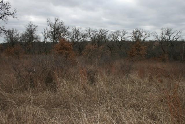 D69 Hensley Road Gordon, TX 76453 - Photo 20 of 34 a view of a city
