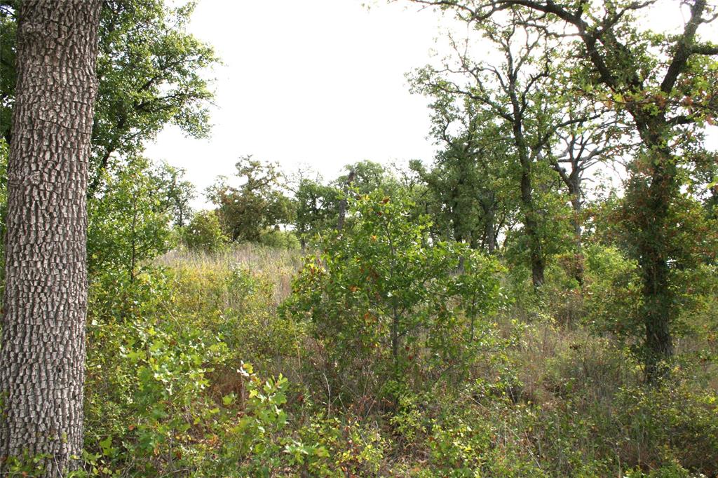 D69 Hensley Road Gordon, TX 76453 - Photo 2 of 34 a view of lake with green space