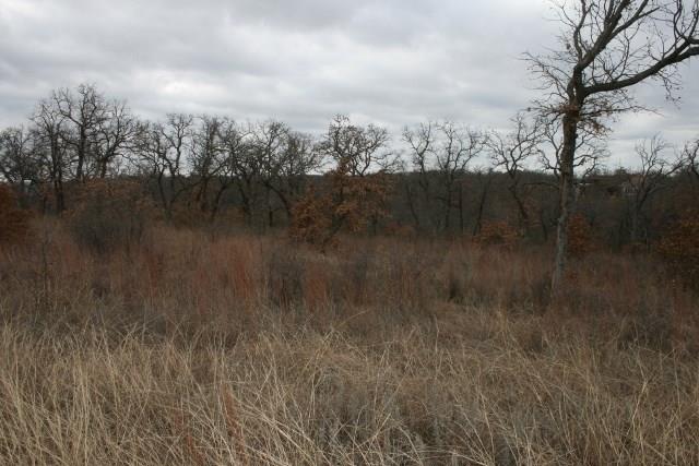 D69 Hensley Road Gordon, TX 76453 - Photo 21 of 34