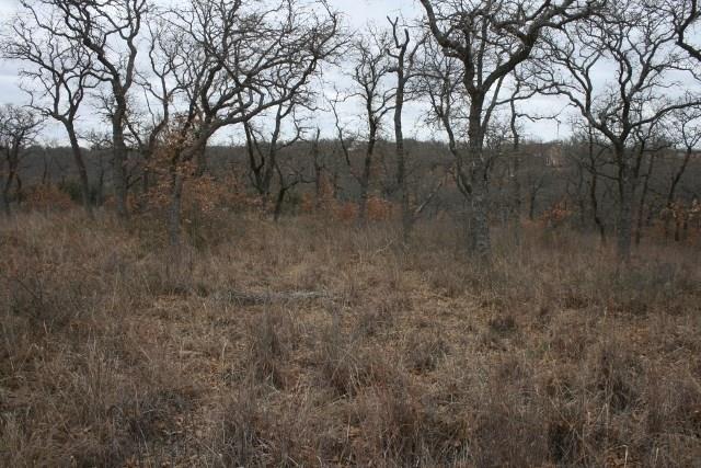 D69 Hensley Road Gordon, TX 76453 - Photo 24 of 34 a view of a yard with trees