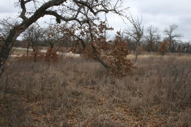 D69 Hensley Road Gordon, TX 76453 - Photo 26 of 34 a view of a forest with large trees