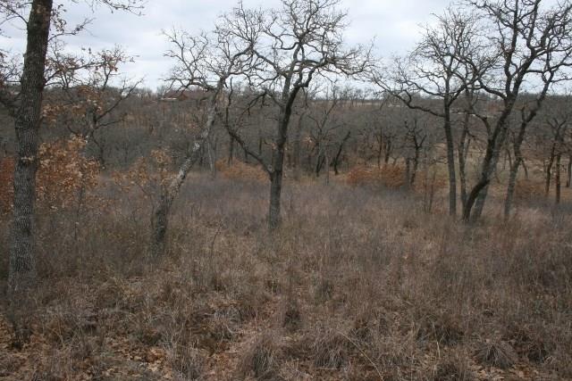 D69 Hensley Road Gordon, TX 76453 - Photo 27 of 34 a view of a forest with lots of trees