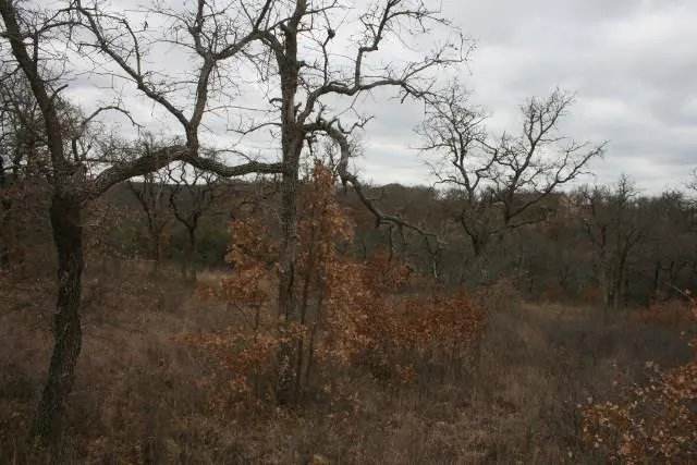 a view of lake with lots of green space