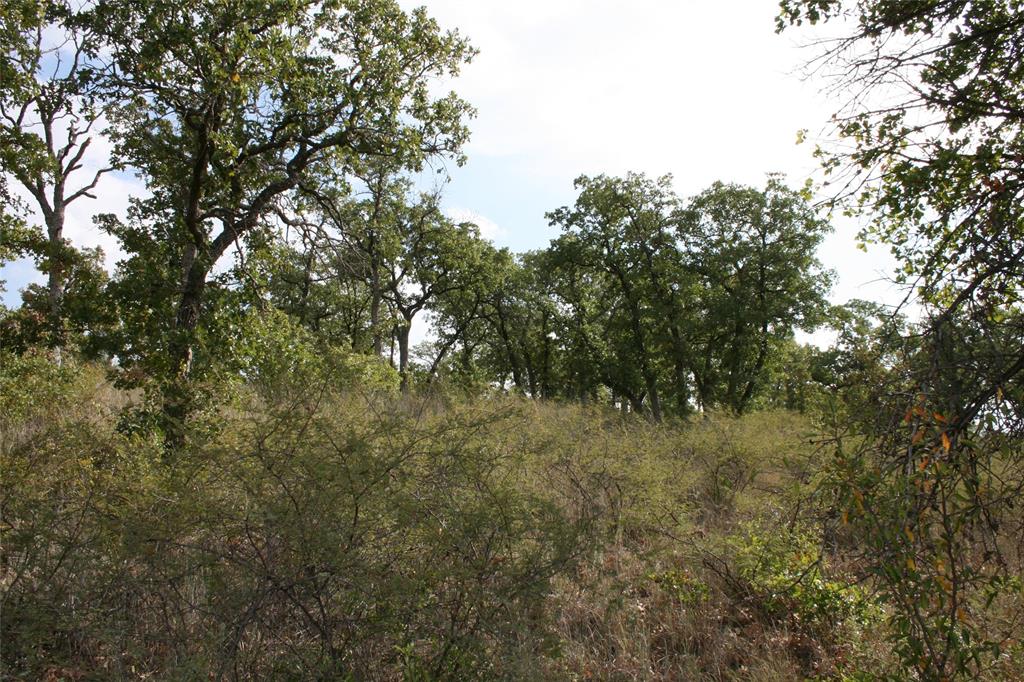 D69 Hensley Road Gordon, TX 76453 - Photo 3 of 34 a view of a yard with large trees