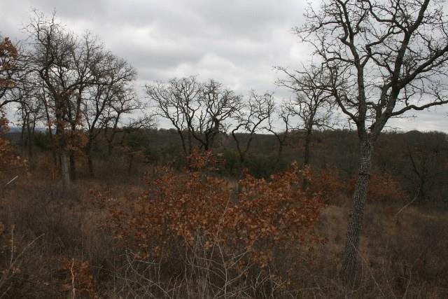D69 Hensley Road Gordon, TX 76453 - Photo 31 of 34 a view of a yard