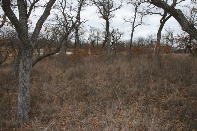 D69 Hensley Road Gordon, TX 76453 - Photo 32 of 34 a view of lake with lots of green space