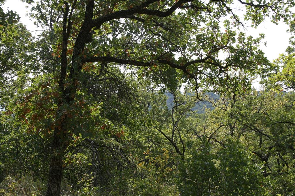 D69 Hensley Road Gordon, TX 76453 - Photo 4 of 34 a view of a tree