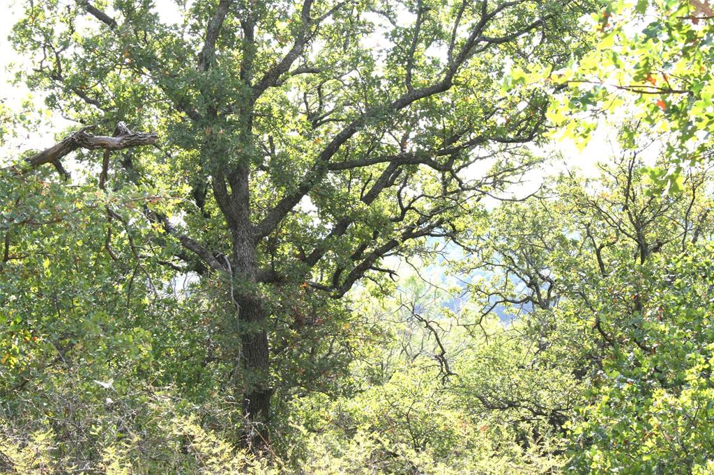 D69 Hensley Road Gordon, TX 76453 - Photo 5 of 34