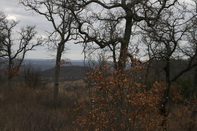 D69 Hensley Road Gordon, TX 76453 - Photo 6 of 34 a view of mountain view with lots of trees