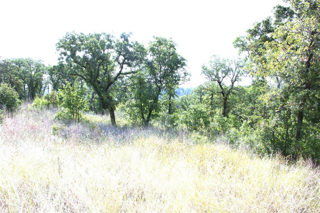 D69 Hensley Road Gordon, TX 76453 - Photo 8 of 34 a view of a yard with a tree
