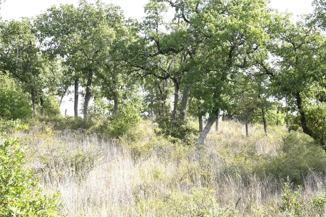 a view of yard from a lake