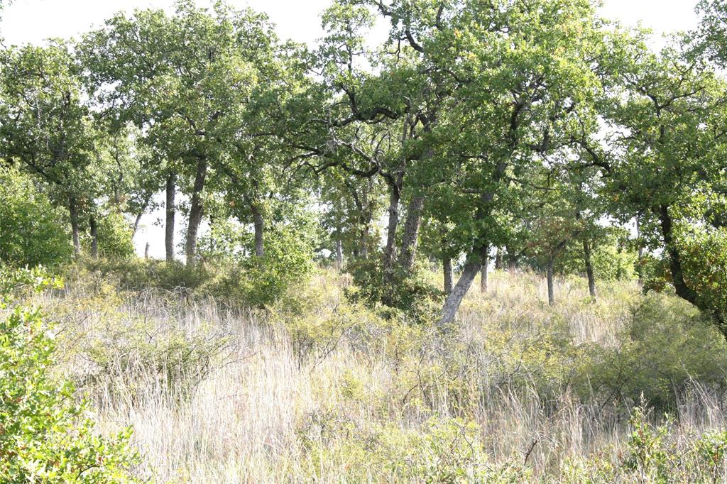 D69 Hensley Road Gordon, TX 76453 - Photo 9 of 34 a view of a yard