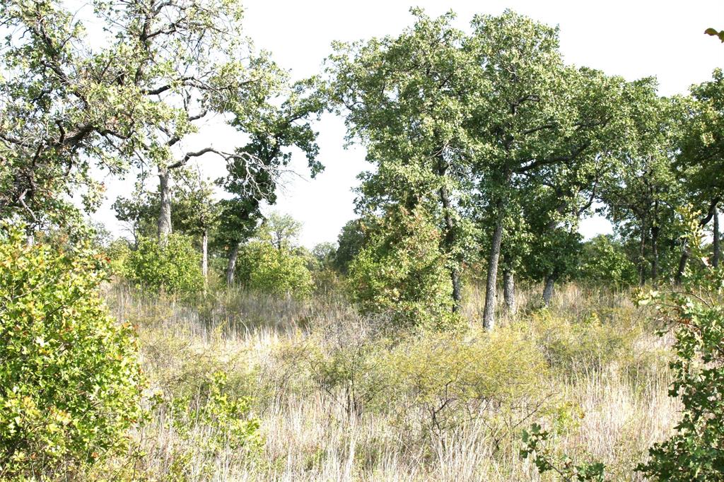 D69 Hensley Road Gordon, TX 76453 - Photo 10 of 34 a view of yard from a lake