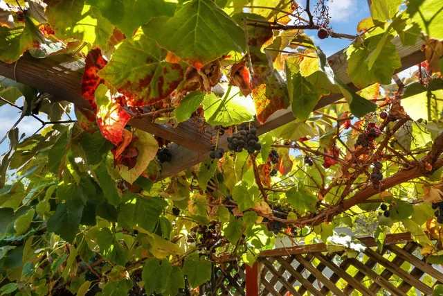 $1,660,000 | 77 Barnes Lane, Fremont, CA 94536