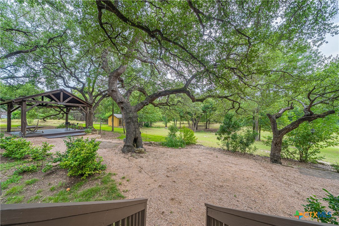 519 Long Meadow Spring Branch, TX 78070 - Photo 32 of 33 a view of a garden with trees
