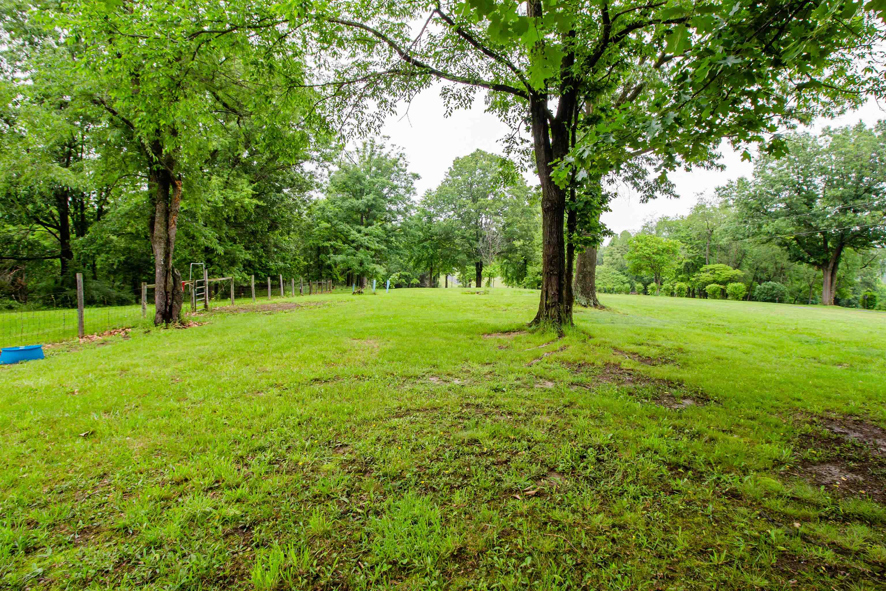 7377 Apple Ridge Drive Timberville, VA 22853 - Photo 27 of 45 a view of field with tall trees