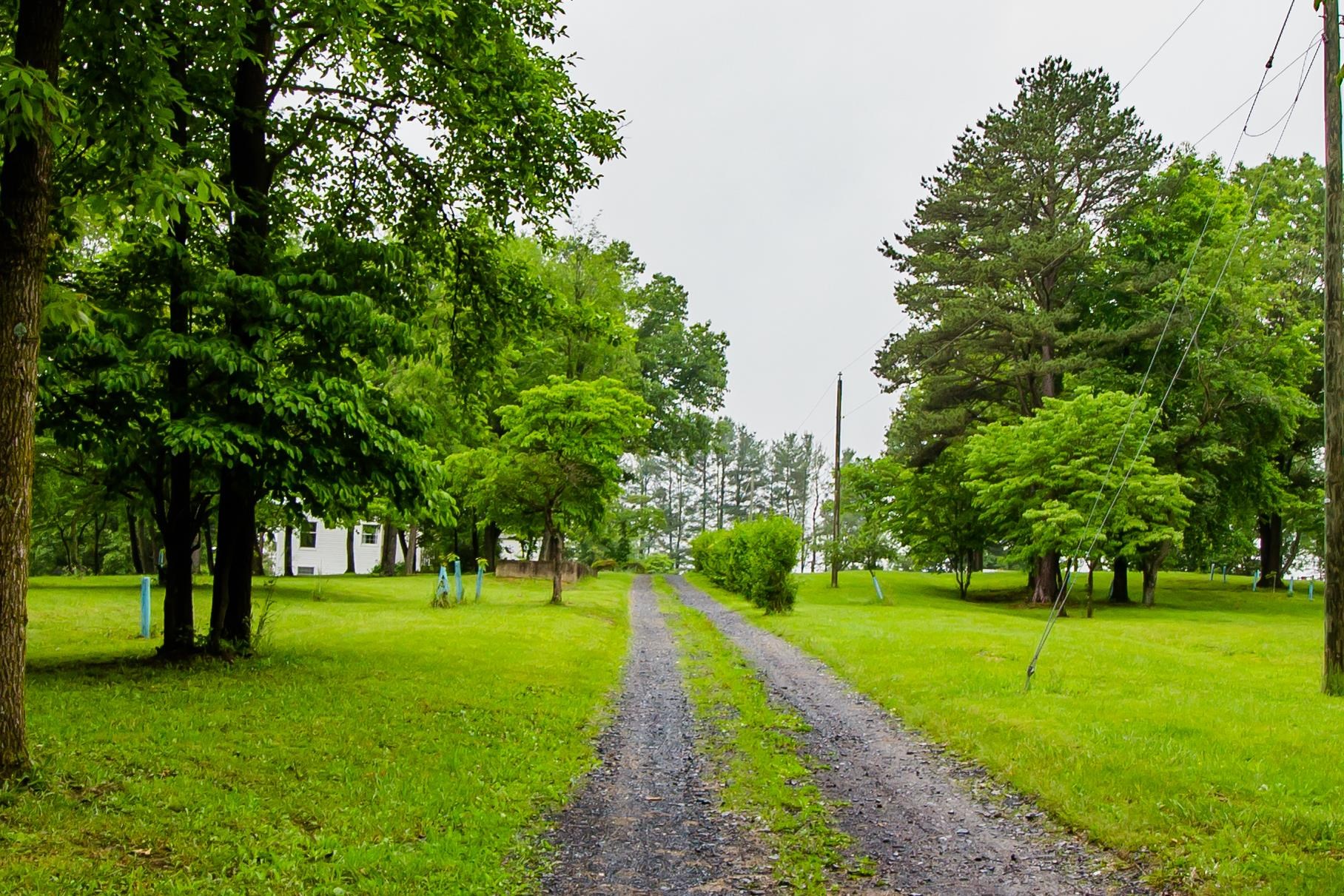 7377 Apple Ridge Drive Timberville, VA 22853 - Photo 30 of 45 a huge green field with lots of trees