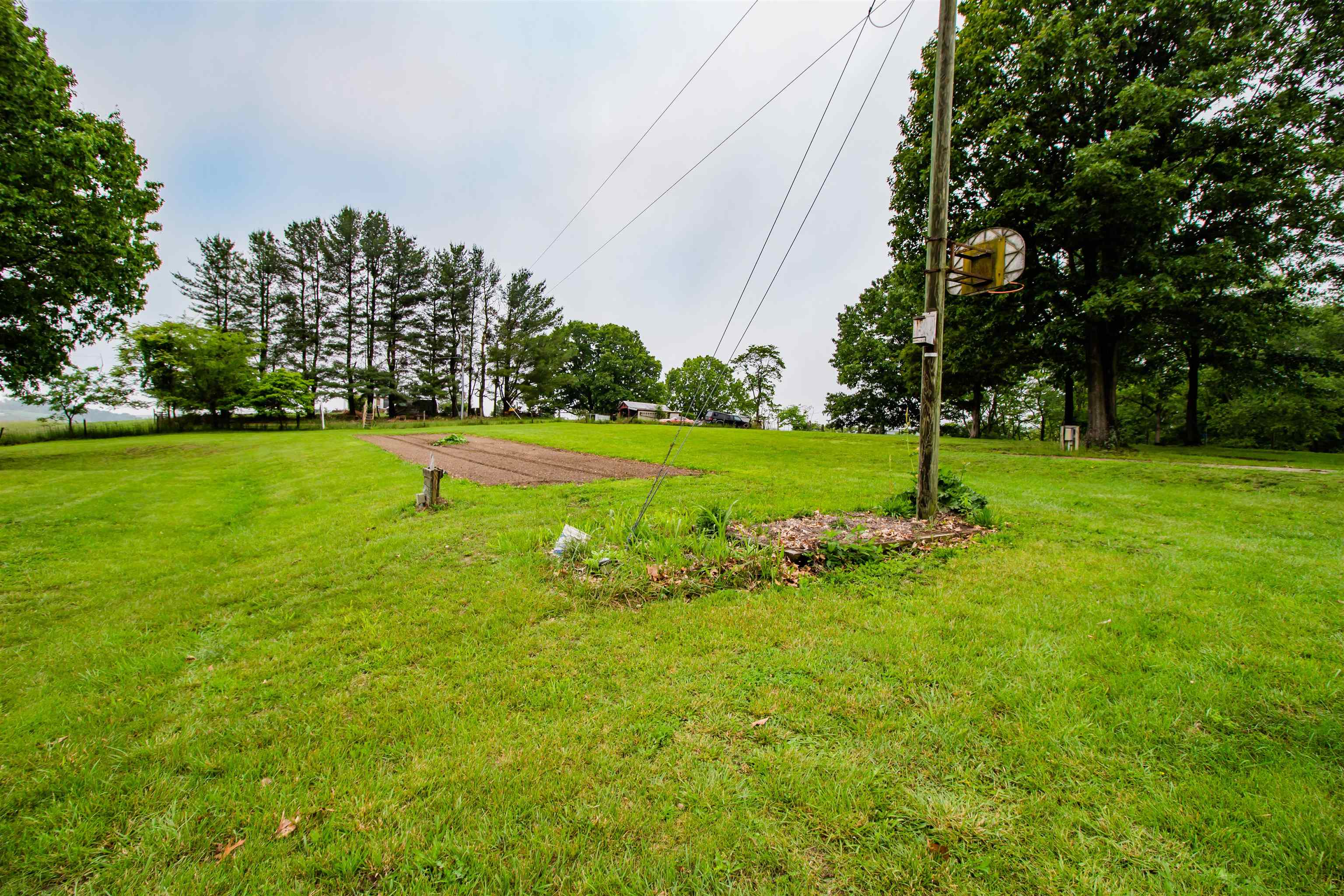 7377 Apple Ridge Drive Timberville, VA 22853 - Photo 36 of 45 a view of a golf course with a large tree