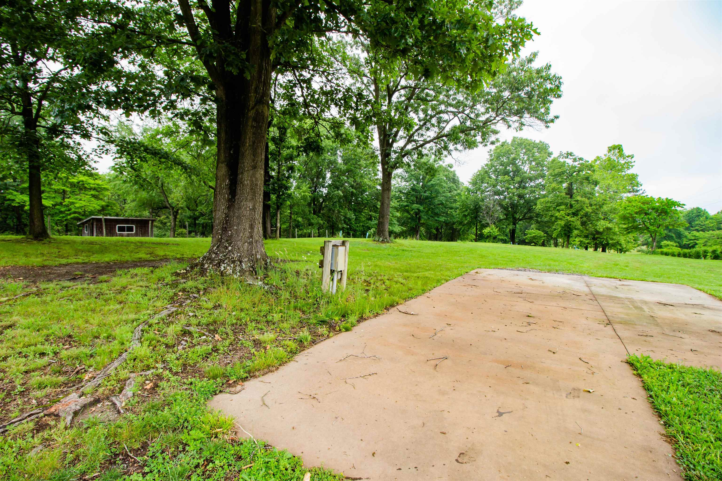 7377 Apple Ridge Drive Timberville, VA 22853 - Photo 37 of 45 a view of a park with a trees in the background