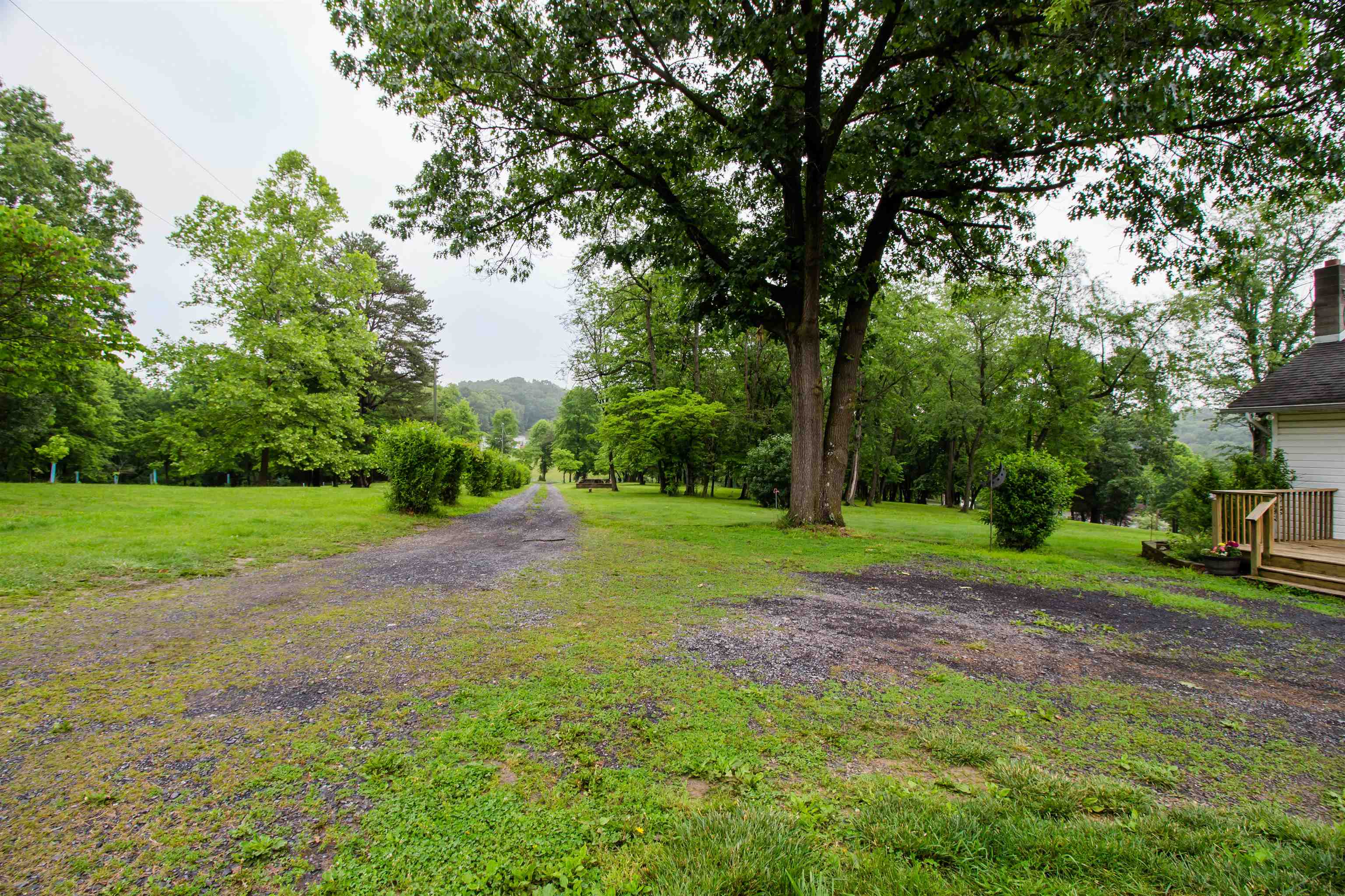 7377 Apple Ridge Drive Timberville, VA 22853 - Photo 41 of 45 a view of a yard with large trees