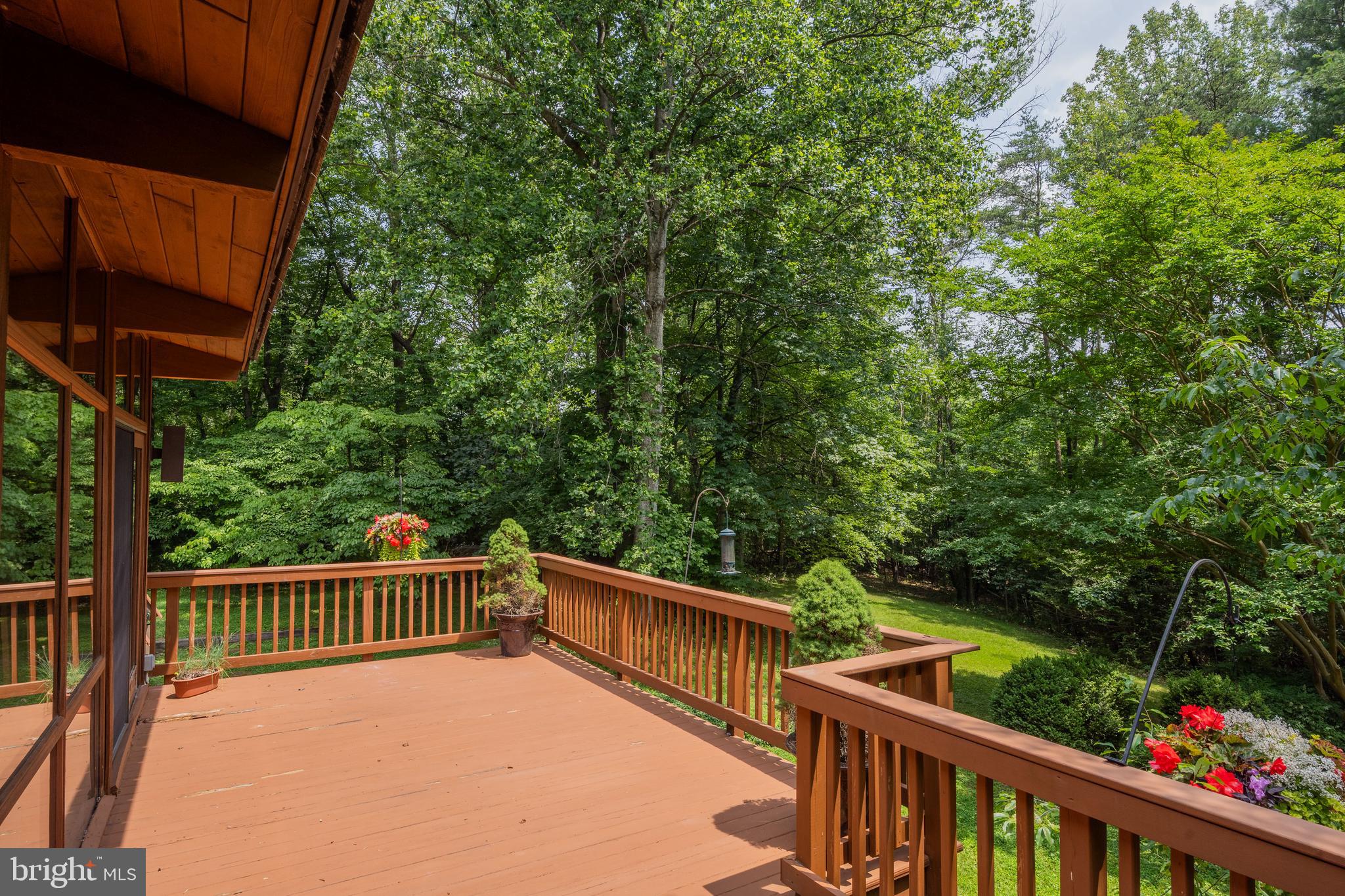 1017 Towlston Road McLean, VA 22102 - Photo 49 of 56 Deck off Living Room with Lush Wooded Views