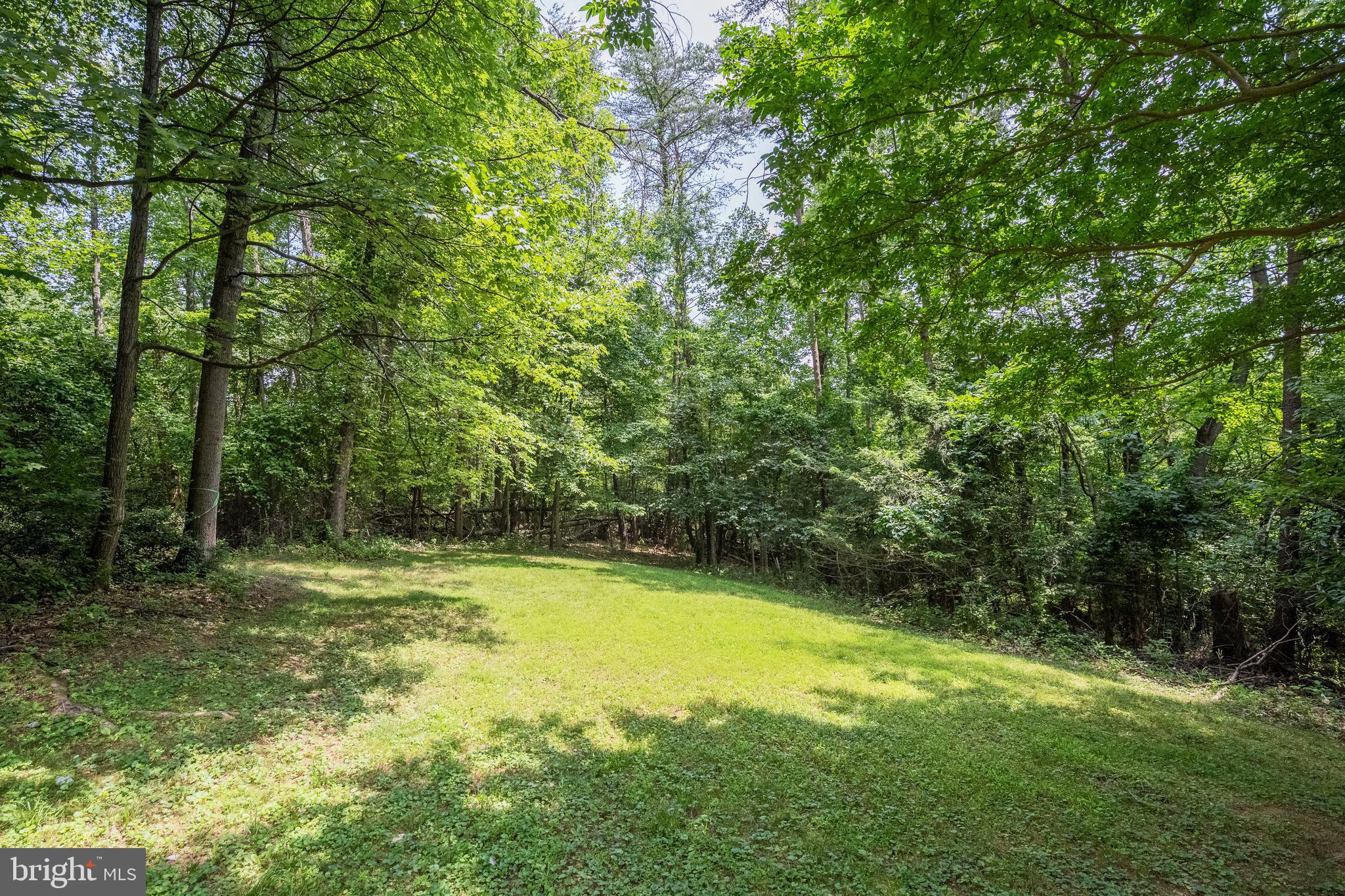1017 Towlston Road McLean, VA 22102 - Photo 54 of 56 Expansive Rear Yard