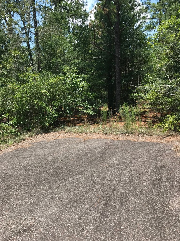 0 Green Acres Road Salley, SC 29137 - Photo 6 of 6