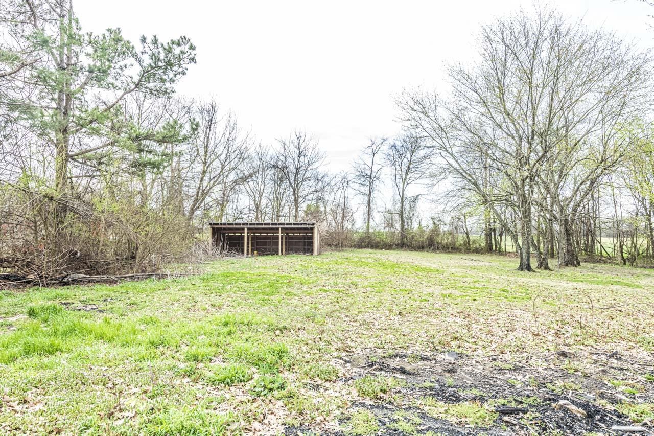 4615 Highway 54 Covington, TN 38019 - Photo 24 of 24 a house with trees in front of it