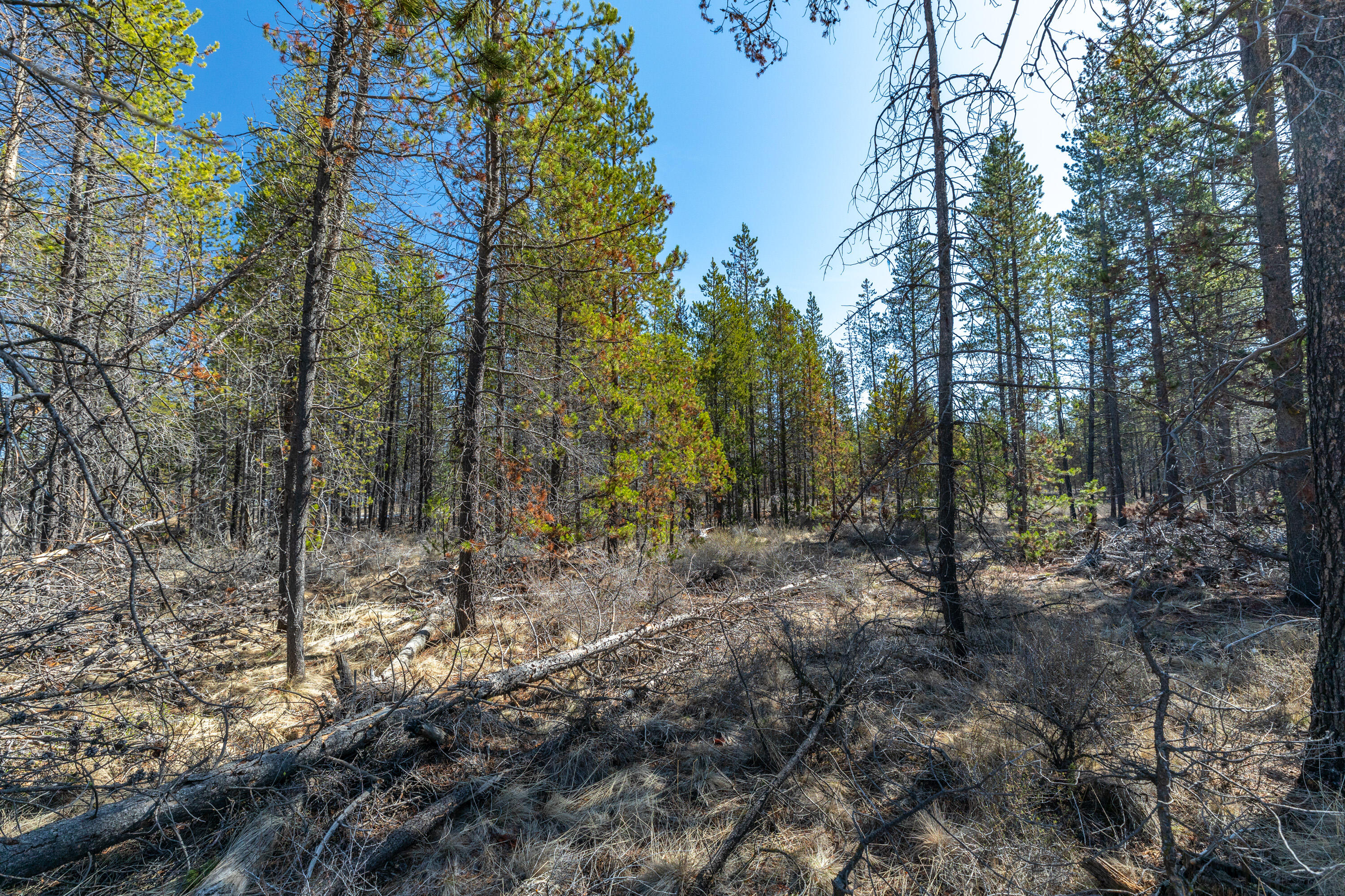 16781 Cagle Road La Pine, OR 97739 - Photo 13 of 13 13 - Cagle_13