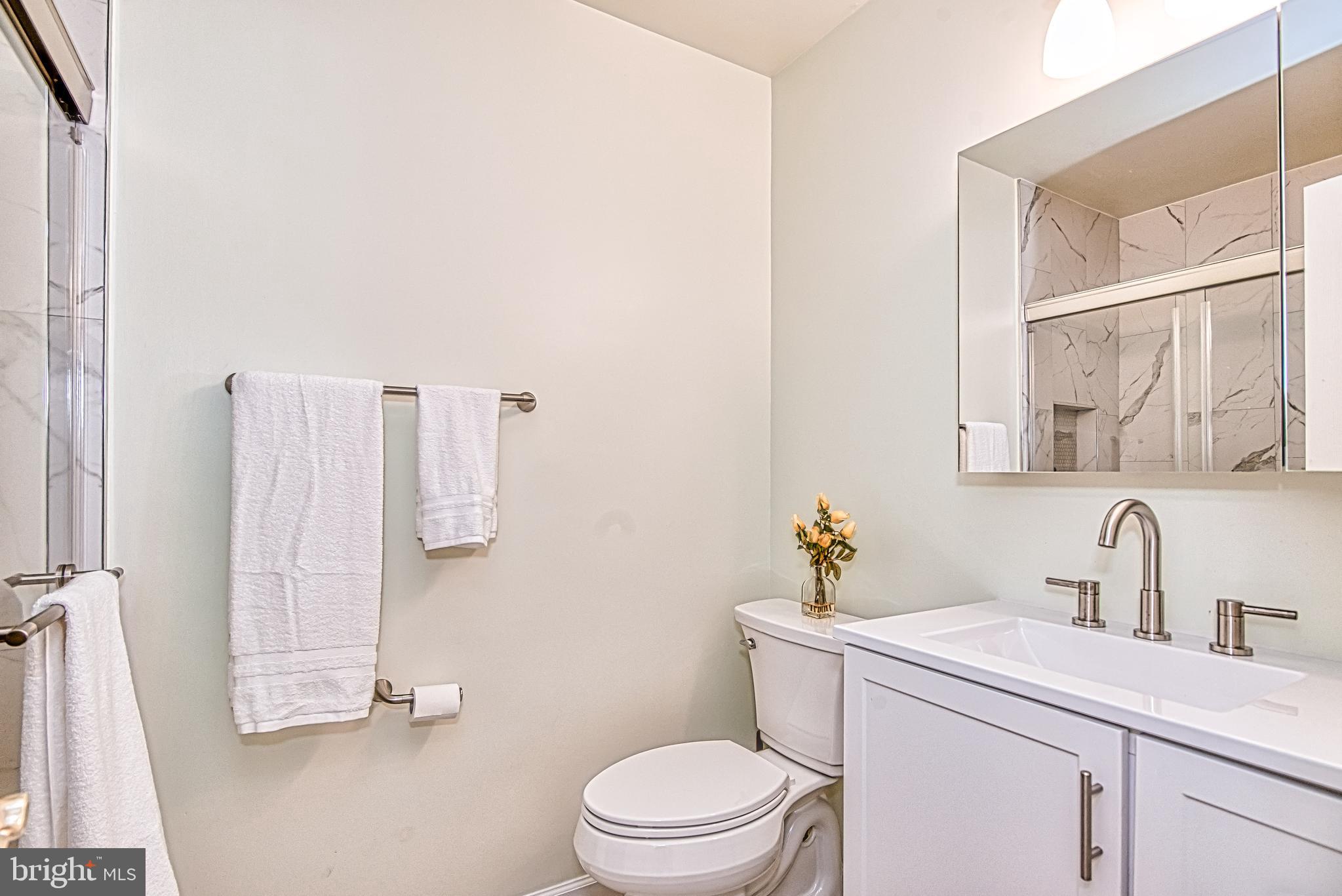 7128 Devonshire Road Alexandria, VA 22307 - Photo 22 of 36 a bathroom with a sink toilet and shower
