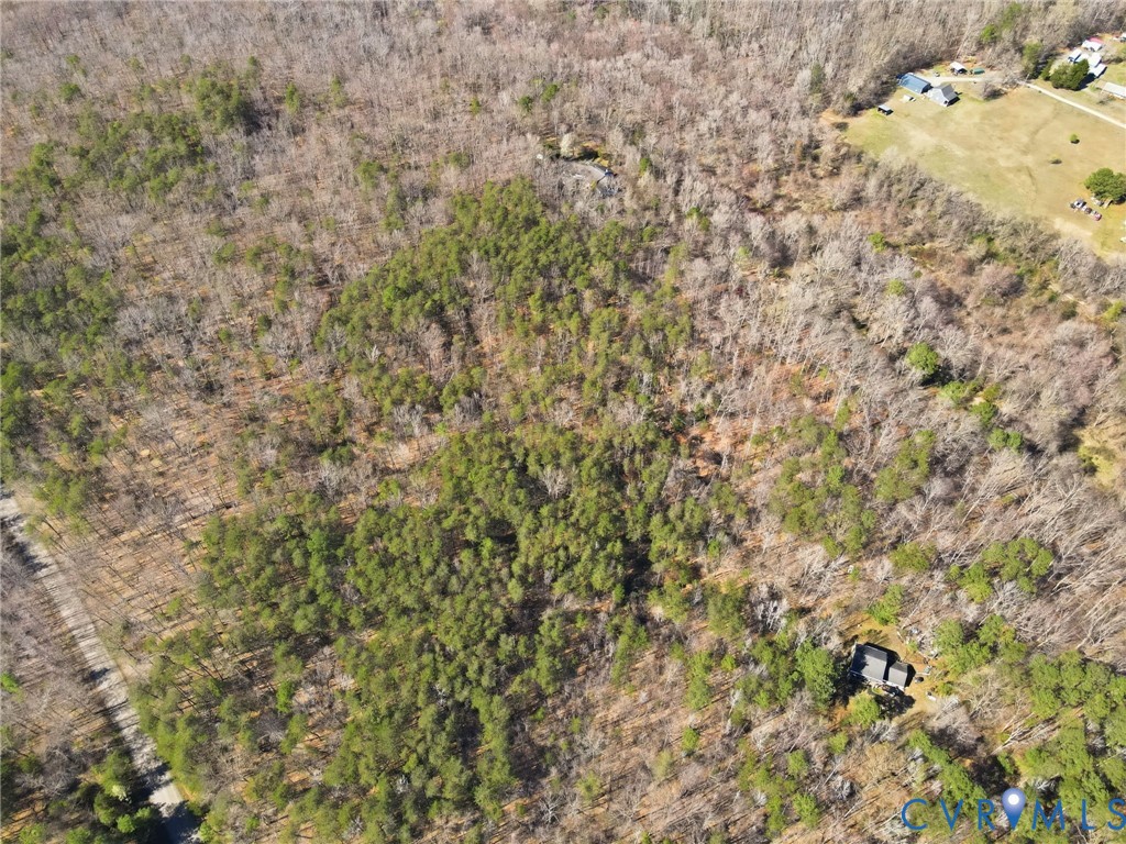 16391 Gun Barrel Road Montpelier, VA 23192 - Photo 9 of 13